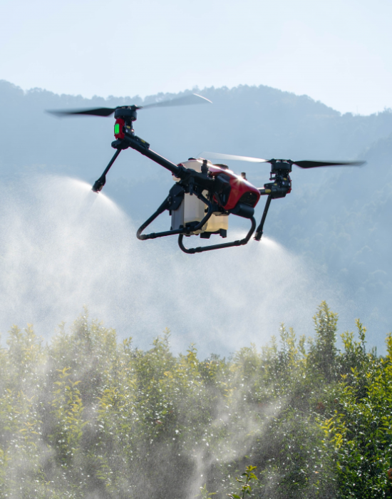 Inspecciones Técnicas